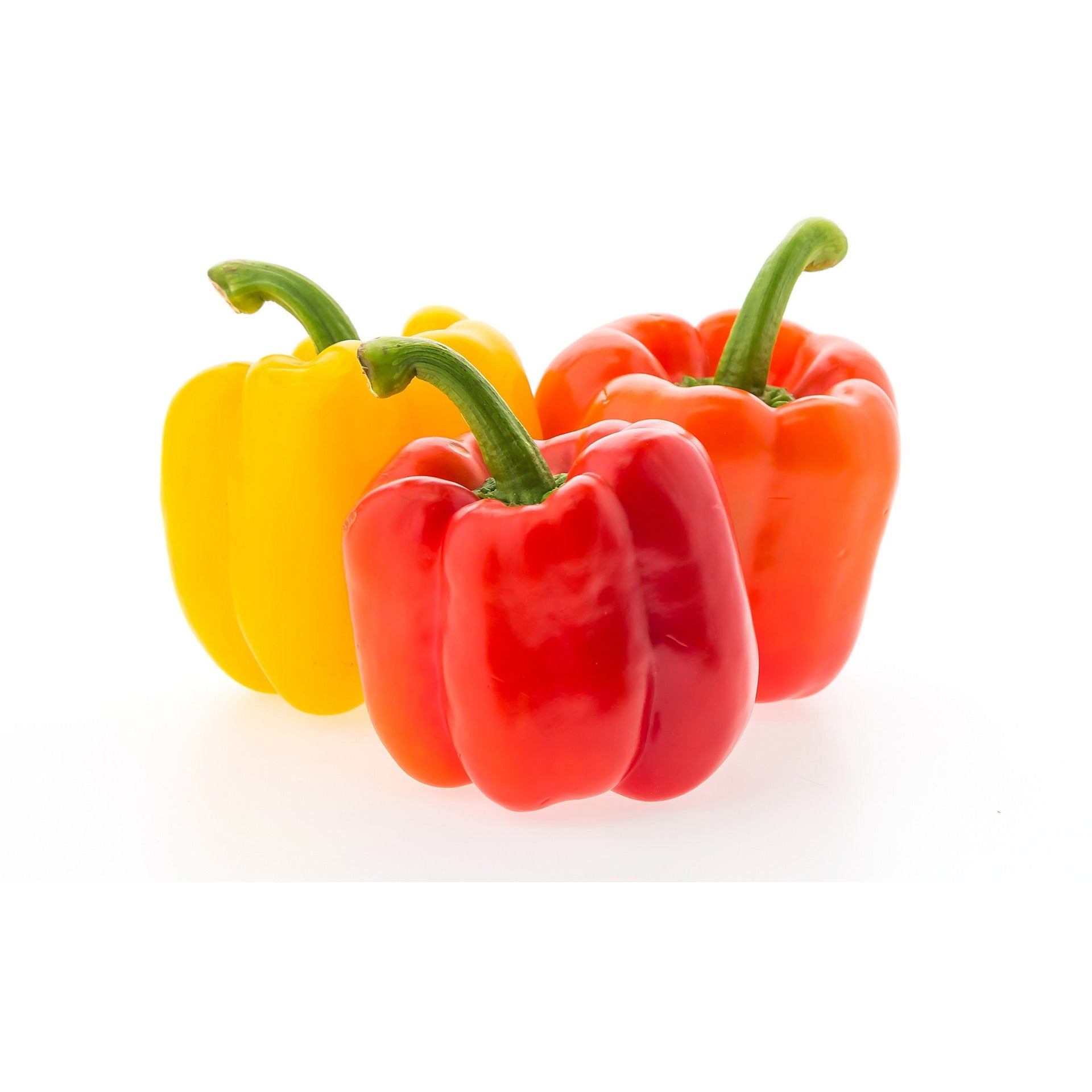 Fresh Bell Pepper, Red/Yellow/Orange - Ea.