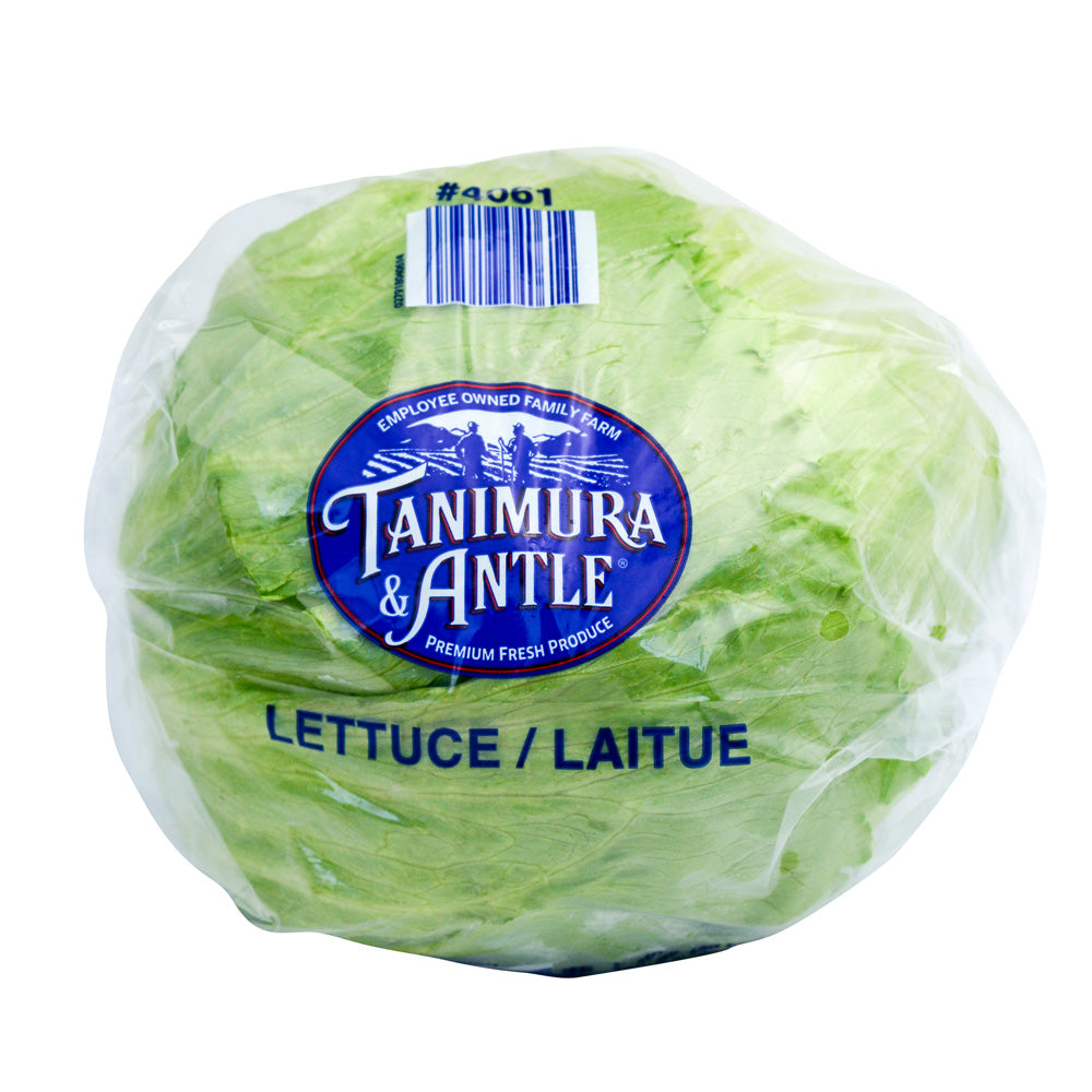 Fresh Lettuce, Iceberg - Ea.