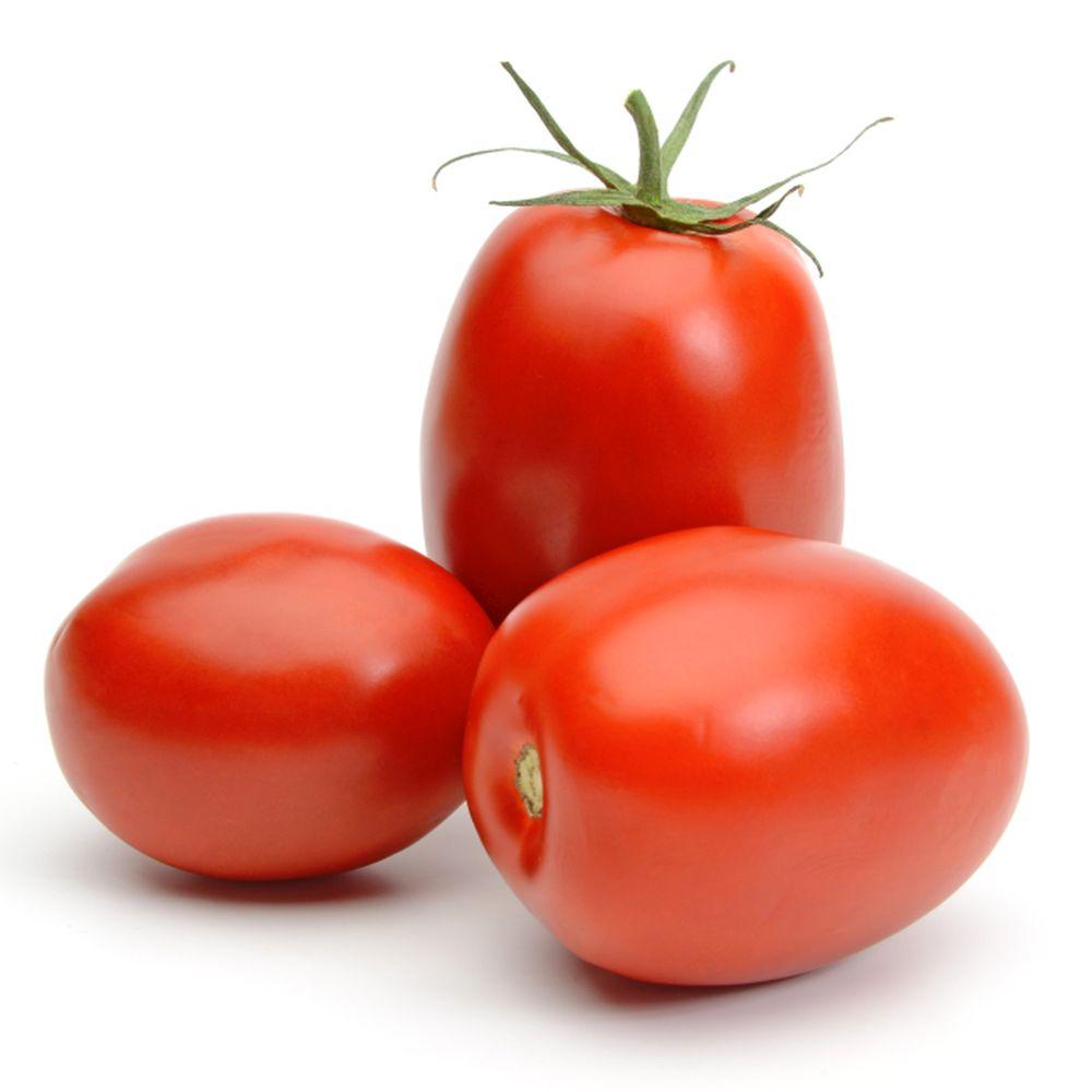 Fresh Tomato, Roma - Ea.