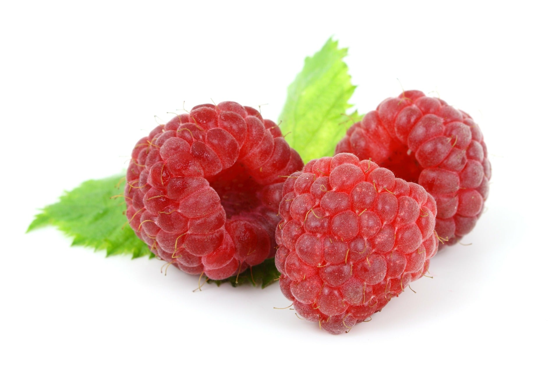 Fresh Raspberries - 6 Oz.