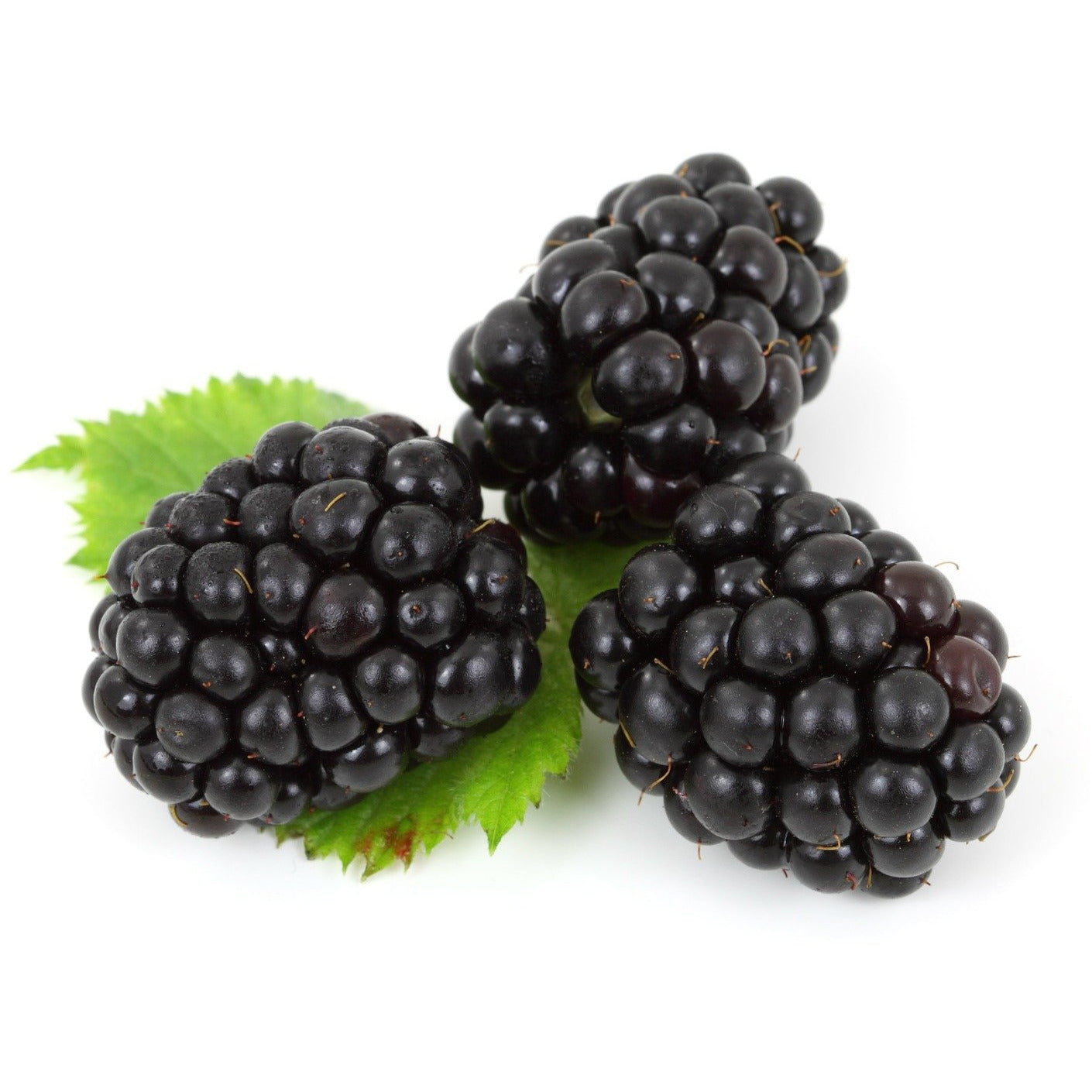 Fresh Blackberries - 6 Oz.