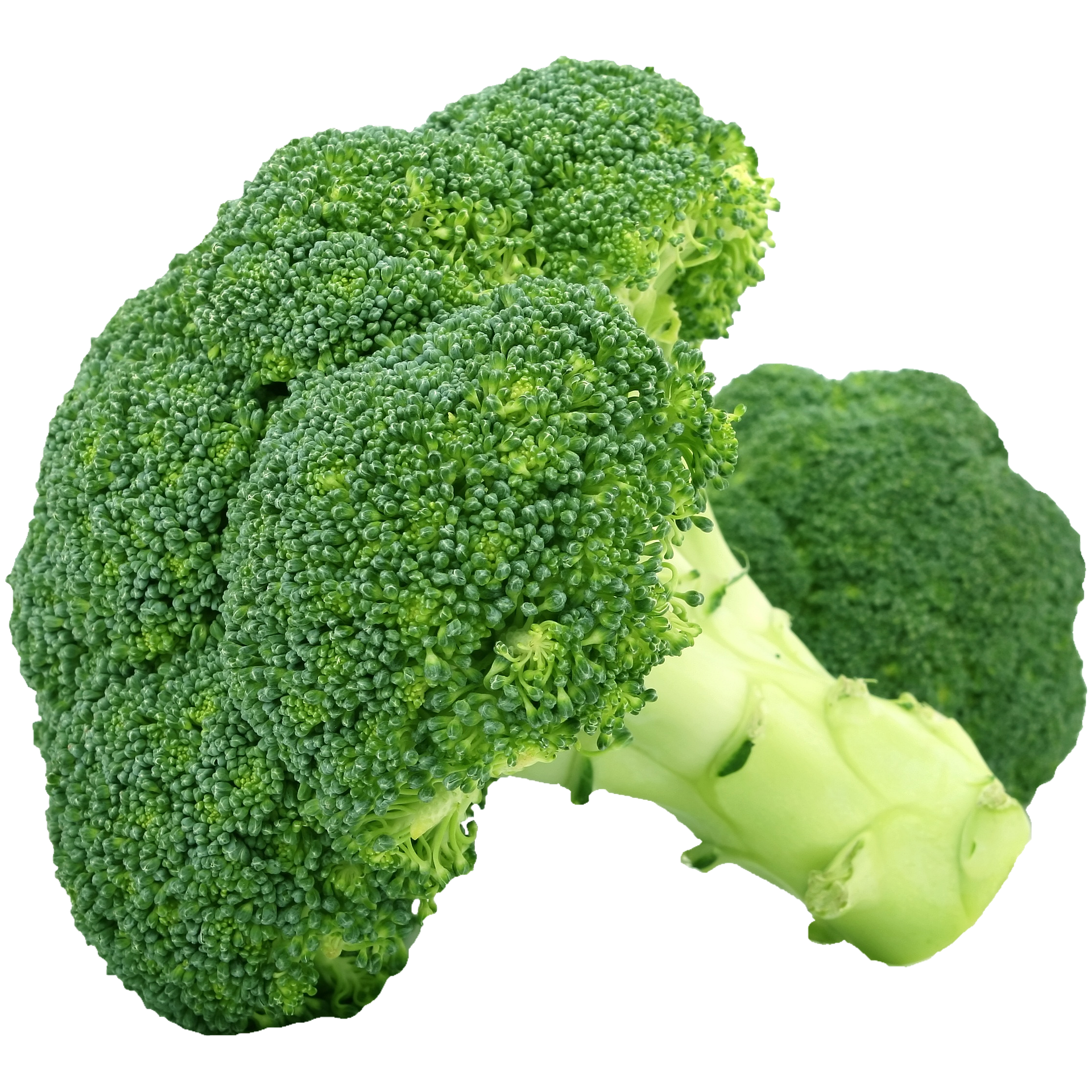 Fresh Broccoli Crown - Ea.