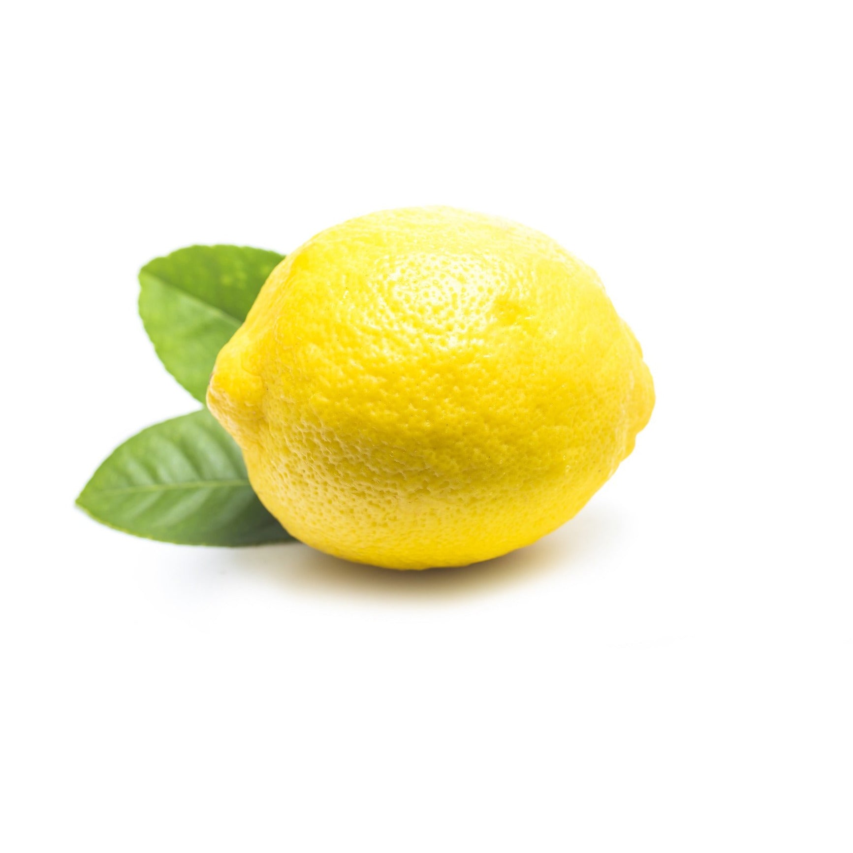 Fresh Lemon - Ea.