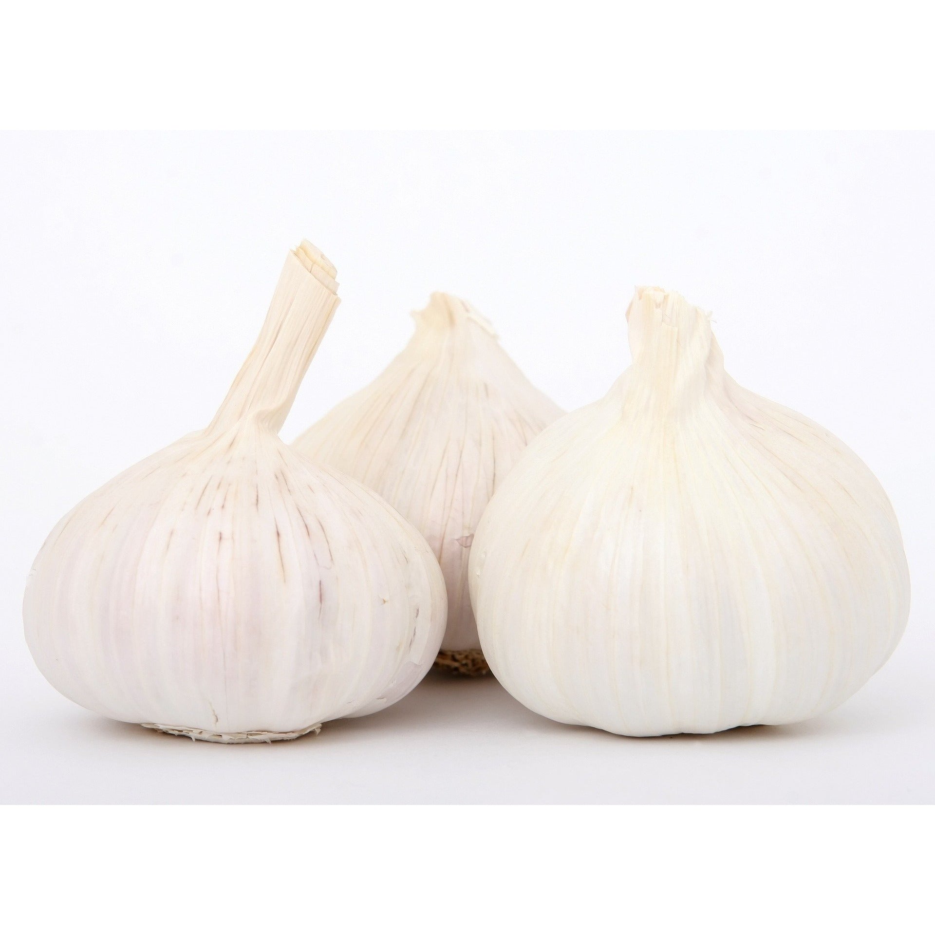 Fresh Garlic - Ea.