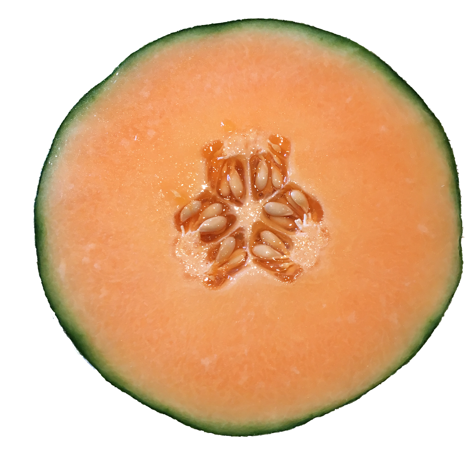 Fresh Cantaloupe - Ea.